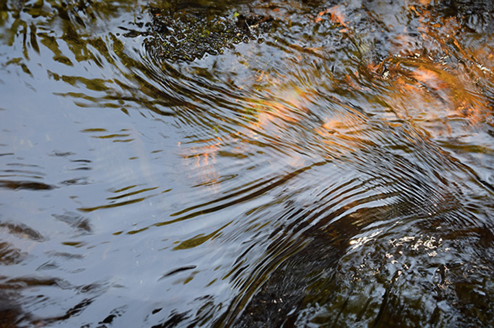 Banner_Unisa UK-new.png